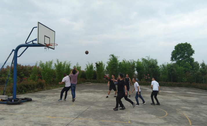 1683701955561851.png 篮球1.png